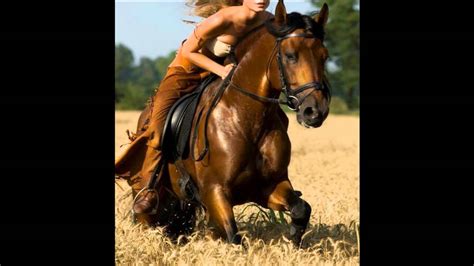 pornos mujer con caballo